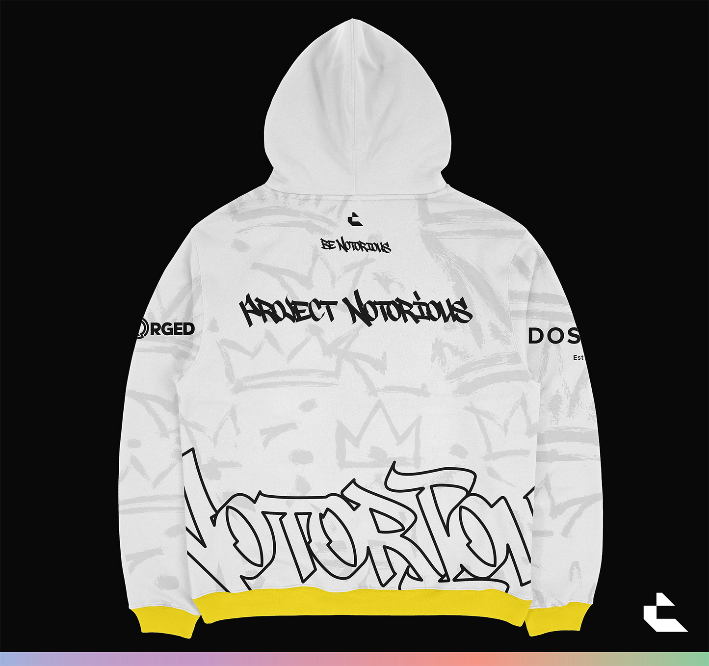 2026 Project Notorious Hoodie - White