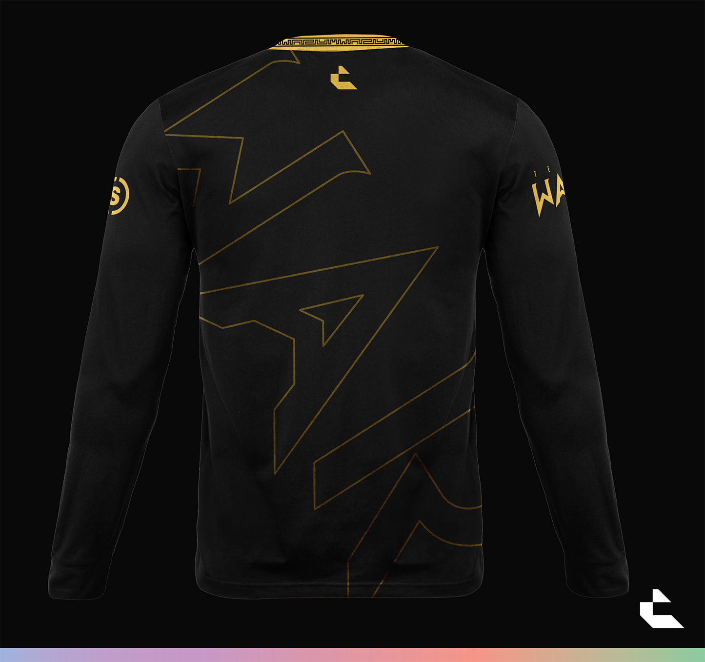 2025 Team WaR Champs Jersey - Long Sleeve